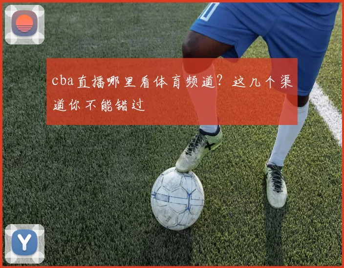 cba直播哪里看体育频道？这几个渠道你不能错过