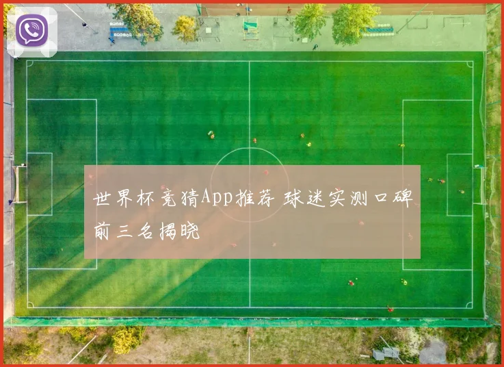 世界杯竞猜App推荐 球迷实测口碑前三名揭晓